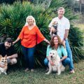 Exploring Dog-Friendly Restaurants in Bay County, FL